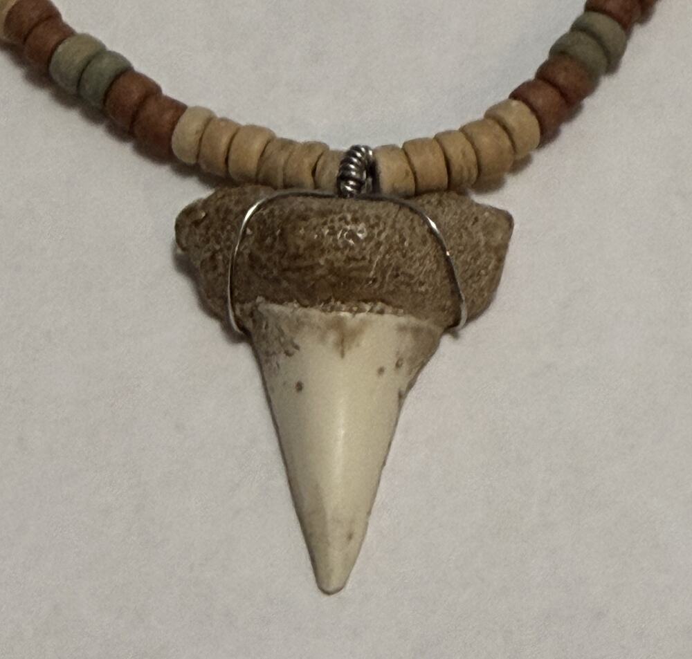 Real Shark Tooth Pendant Necklace Wire Wrapped Wood Wooden Beads Barrel Clasp